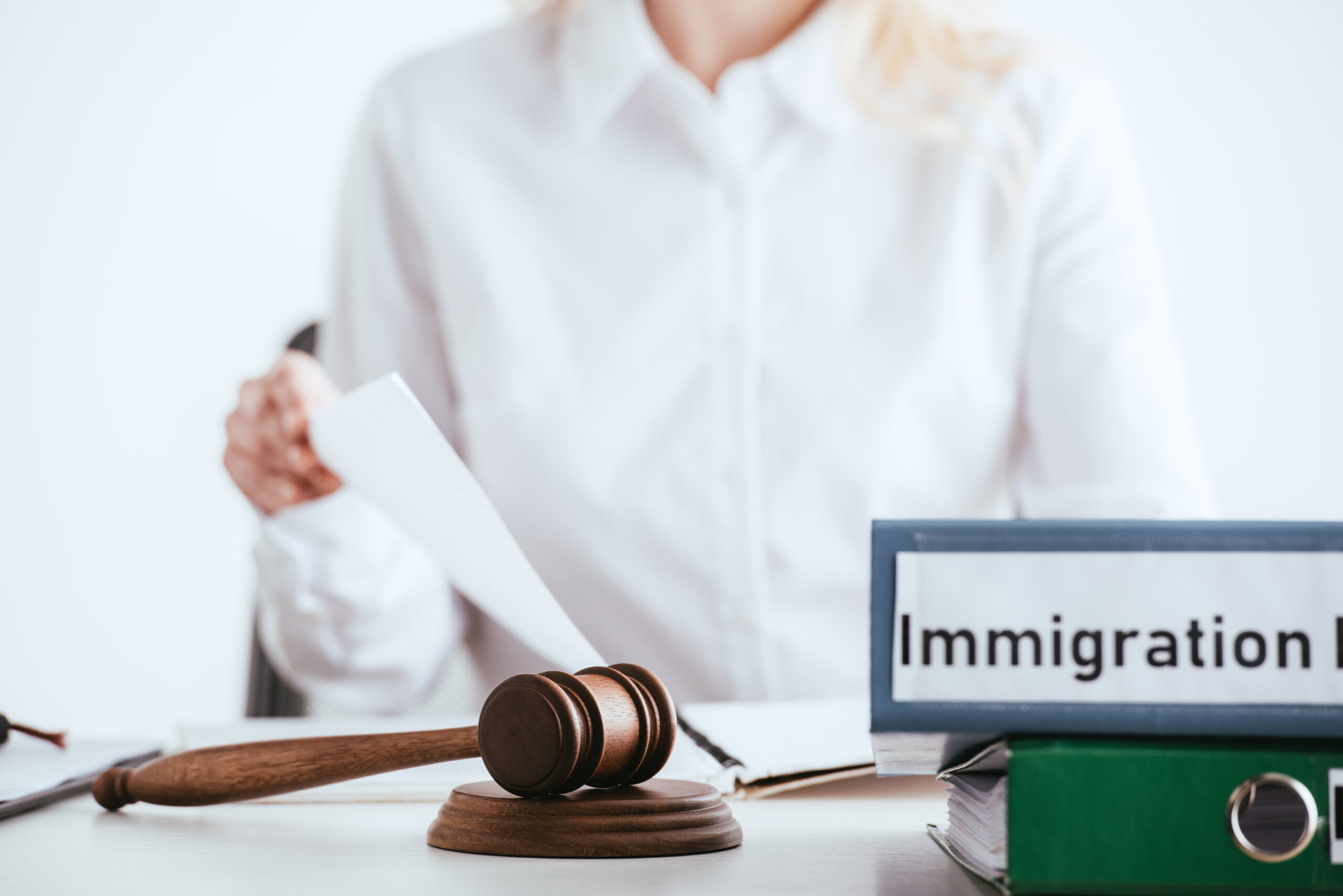 Immigration Attorneys